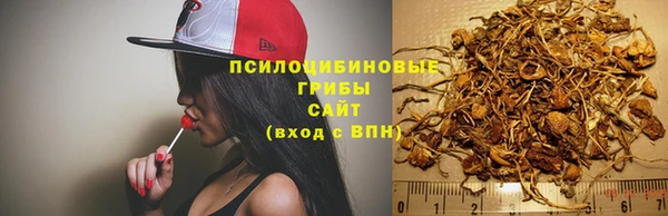 прущий лед Аркадак