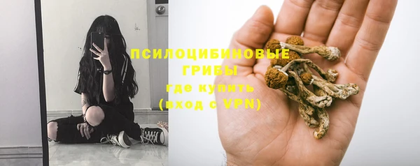 синтетический гашиш Арсеньев