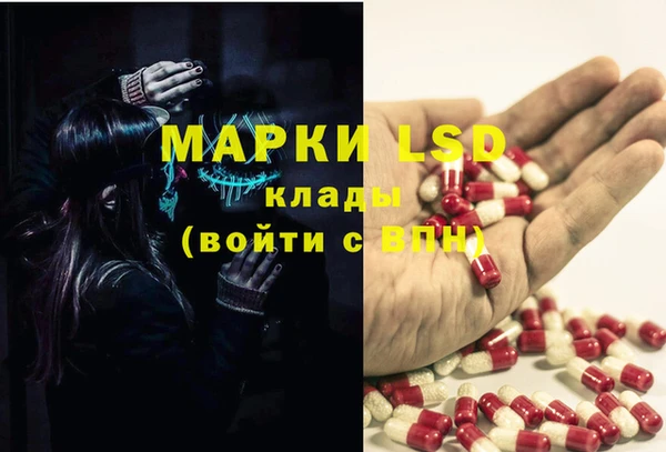 прущий лед Аркадак